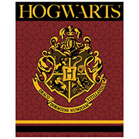 Harry Potter polár plüss takaró - 150x120 cm - bordó