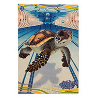 Blasetti vonalas füzet - A4 38 lapos - Activity Pets teknős