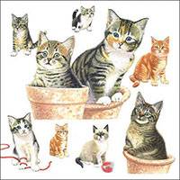 Cicás papírszalvéta - Cute Kittens