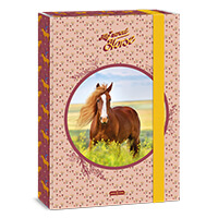 My Sweet Horse lovas füzetbox - A4