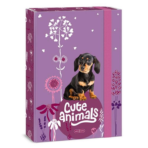 Cute Animals kutyás füzetbox - A4 - tacskós