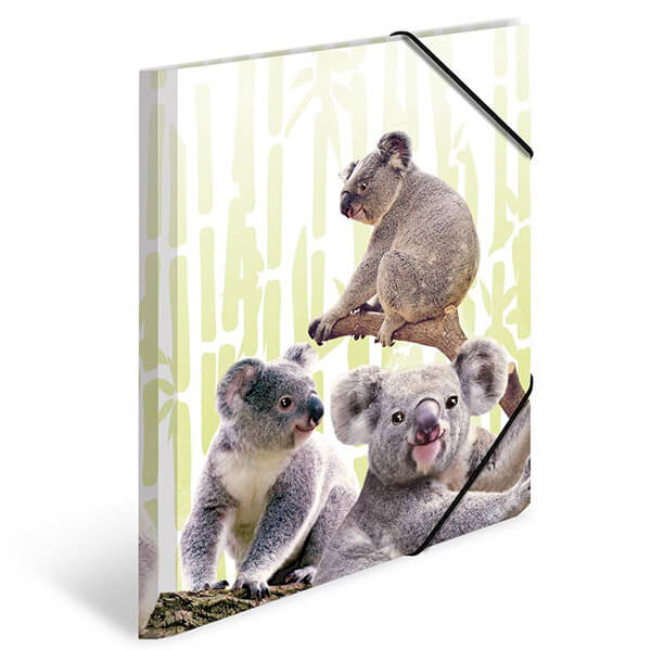Koala macis műanyag gumis mappa - A4 - HERMA
