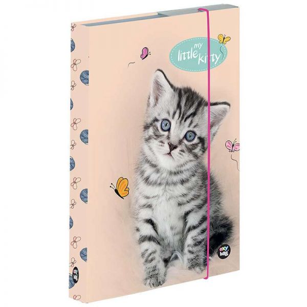 Kitty cicás füzetbox - A5
