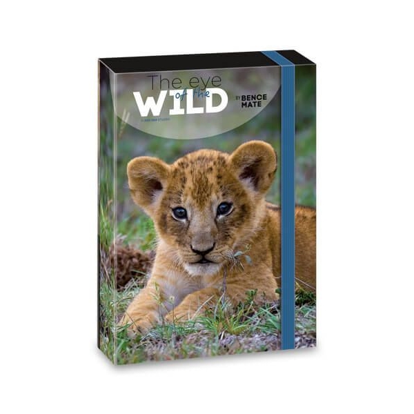 The Eyes of the Wild füzetbox - A5 - oroszlános