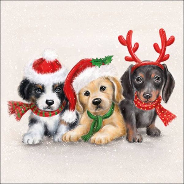 Karácsonyi kutyás szalvéta 25x25 cm - 3 kutya sapkában sálban - Sweet Dogs