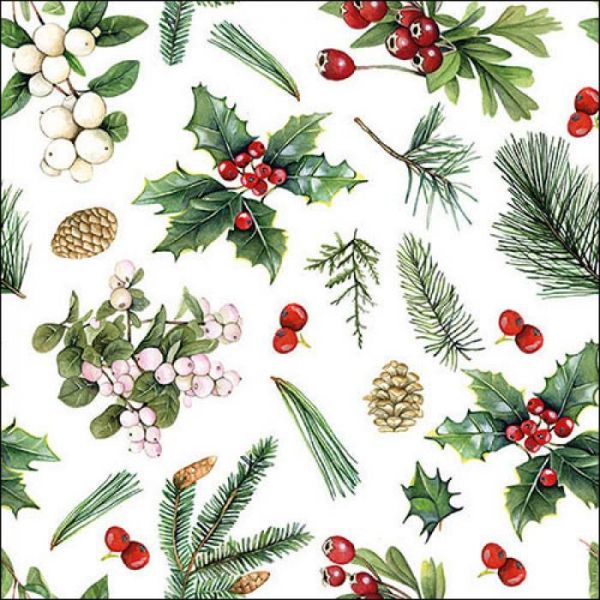 Karácsonyi magyal - fenyőágas mintájú szalvéta - 25x25 cm - Winter greenery white