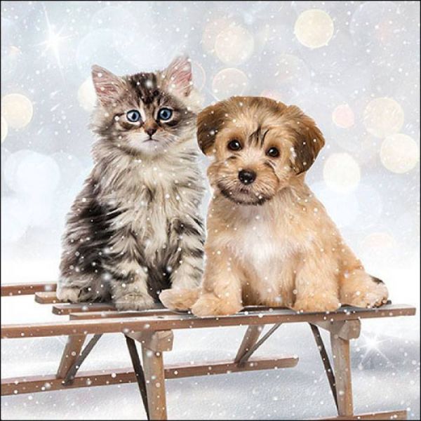 Kutyás - cicás téli / karácsonyi szalvéta - Mimi & Bo