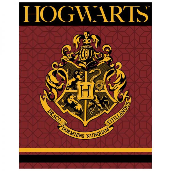 Harry Potter polár plüss takaró - 150x120 cm - bordó