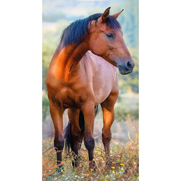 Lovas arctörlő / törölköző - 50x30 cm - barna lovas